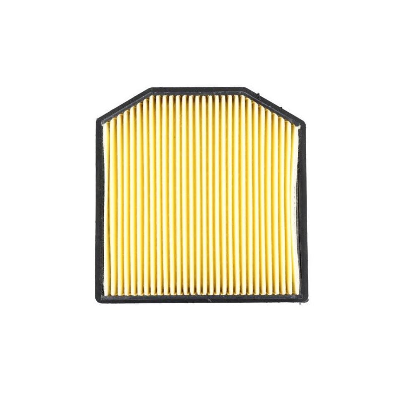 FILTRO ARIA TRIUMPH Tiger / Tiger ABS 900 20/22