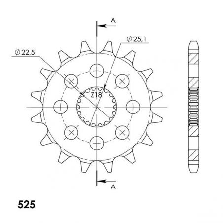 PIGNONE S AC P525-D16 TRIUMPH Speed Twin ABS 1200 19/22