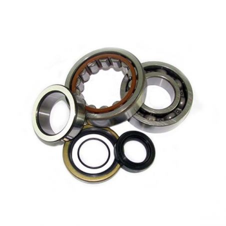 KIT CUSCINETTI ALBERO MOTORE YAMAHA YZ LW 19/16 80 94/98