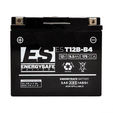 BATTERIA YAMAHA FZ6 R 600 09/12