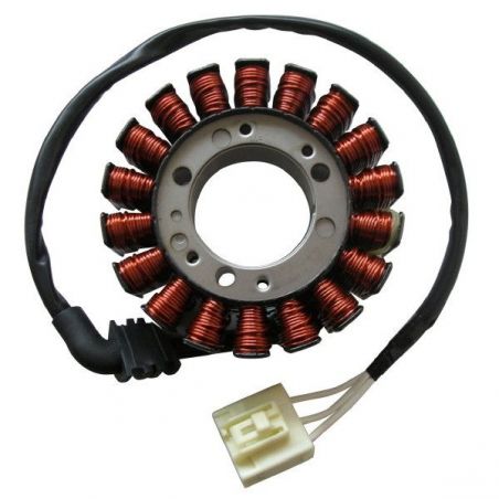STATORE YAMAHA FZS Fazer (RN06) 1000 01/05
