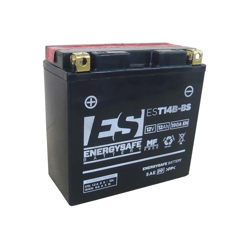 BATTERIA YAMAHA FZS Fazer (RN06) 1000 01/05