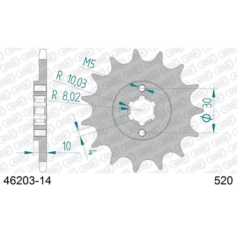 A46203.14 Pignoni in acciaio AFAM CAGIVA Raptor 125 03-10  AFAM