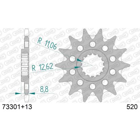 A73301.13SC Pignoni in acciaio AFAM GAS GAS MC 350 F 22-23  AFAM