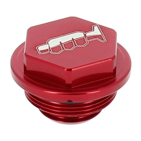 AV3244R Coperchio pompa freno posteriore GAS GAS MC 350 F 22-23  OEM