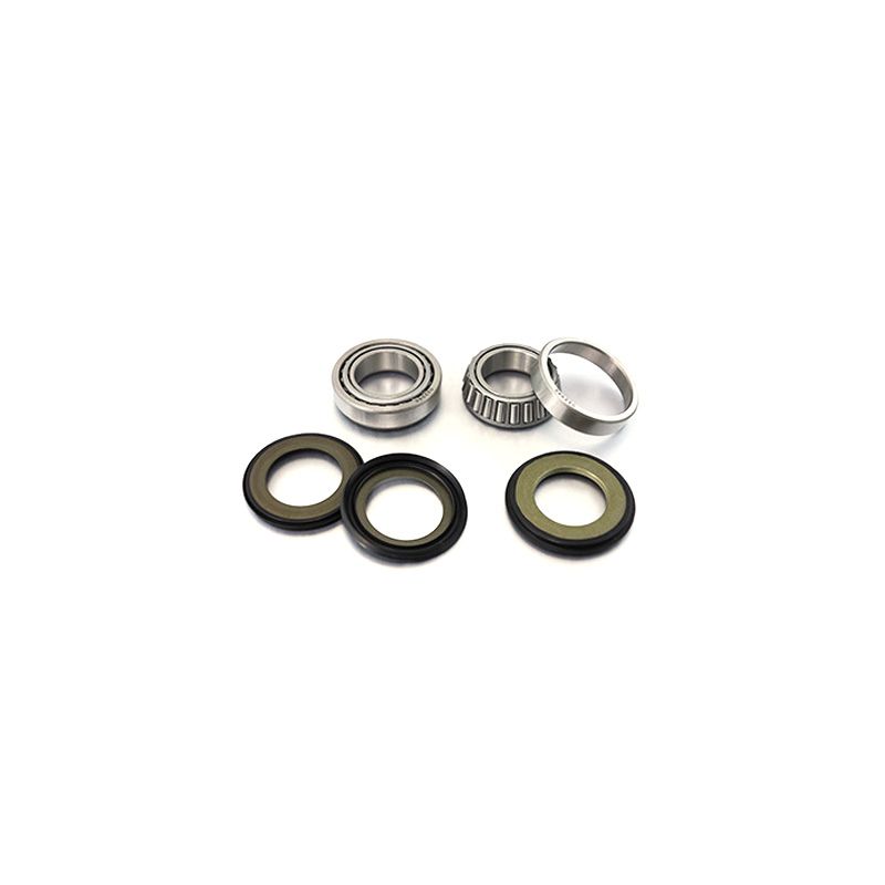 PX24.110026 Kit revisione PROX BETA RR 300 13-23  PROX