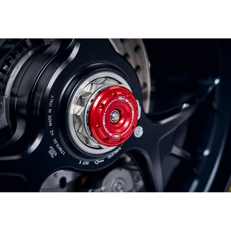 PRN013098-66 Protecciones del basculante trasero Ducati Panigale V4 SP2 30 Anniversario 916 2024+ Ev