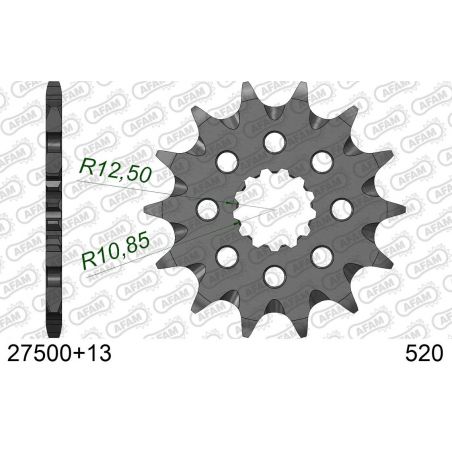 A27500.13SC Pignoni in acciaio AFAM FANTIC XX 250 22-24  AFAM