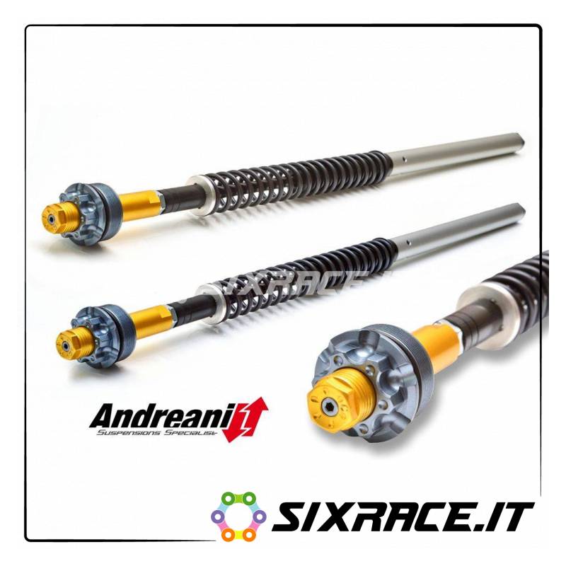 CFD105/D12 HYPERSTRADA LOW 821 KIT CARTUCCIA REG. CFD105/D12 HYPERSTRADA LOW 821 KIT CARTUCCIA REG.