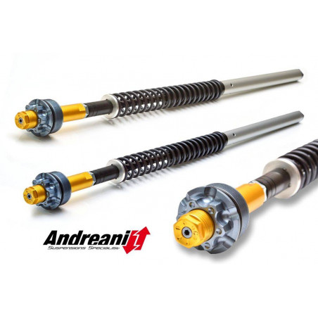 CFD105/D12 HYPERSTRADA LOW 821 KIT CARTUCCIA REG.