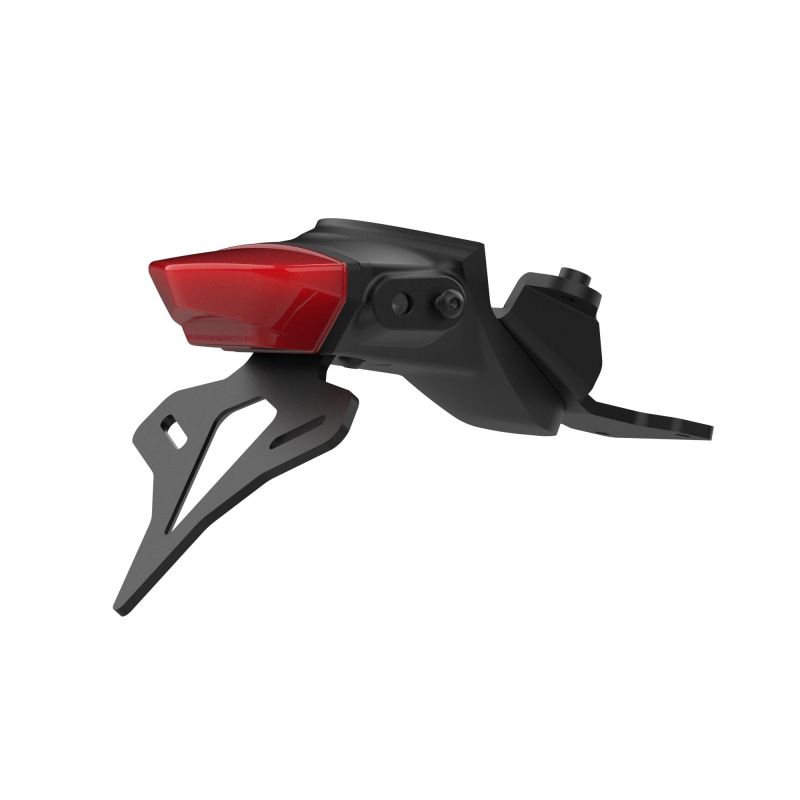 Triumph Trident 660 Triple Tribute Edition 2024+ Porta Targa