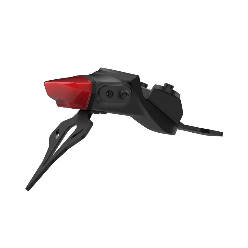 Triumph Trident 660 Triple Tribute Edition 2024+ Porta Targa