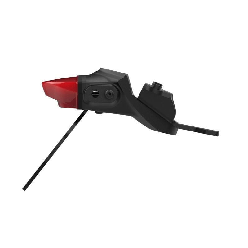 Triumph Trident 660 Triple Tribute Edition 2024+ Porta Targa