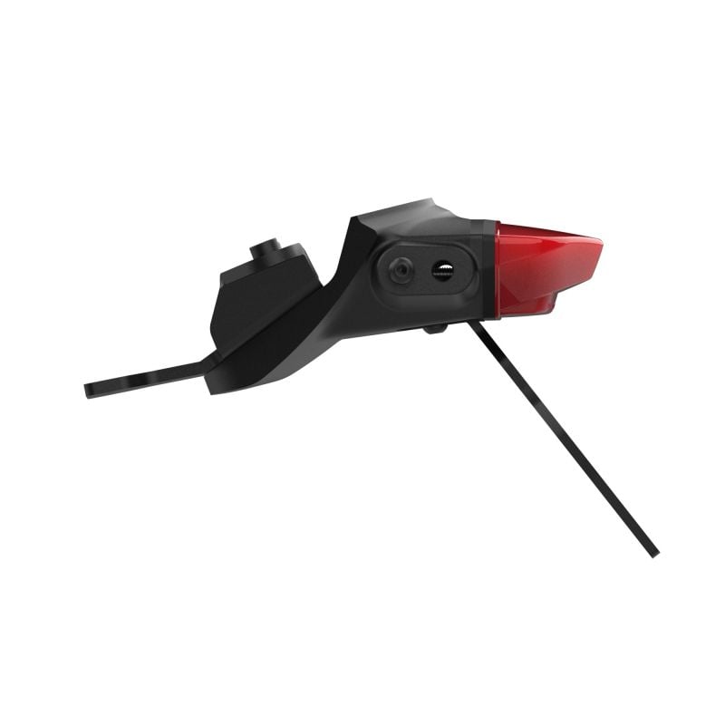 Triumph Trident 660 Triple Tribute Edition 2024+ Porta Targa