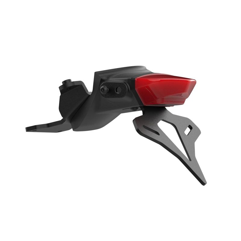 Triumph Trident 660 Triple Tribute Edition 2024+ Porta Targa