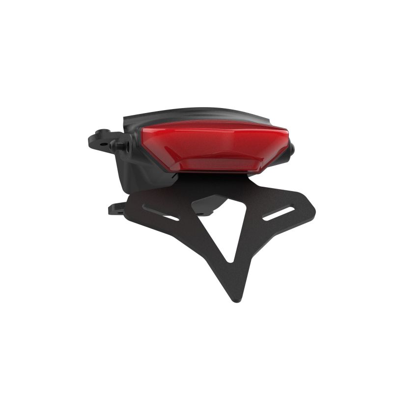 Triumph Trident 660 Triple Tribute Edition 2024+ Porta Targa