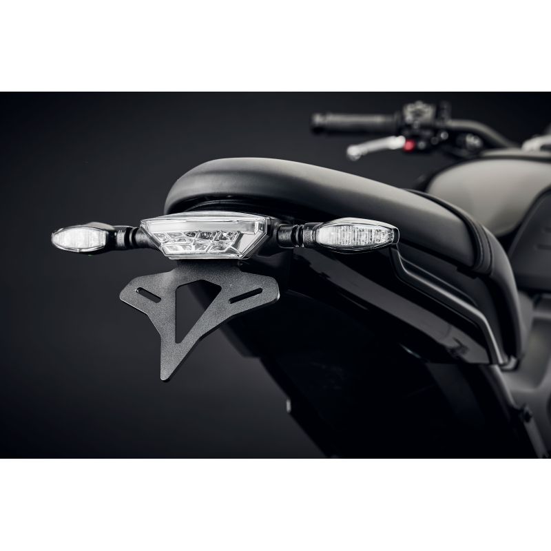 Triumph Trident 660 Triple Tribute Edition 2024+ Porta Targa