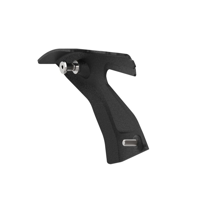 Triumph Trident 660 Triple Tribute Edition 2024+ Porta Targa