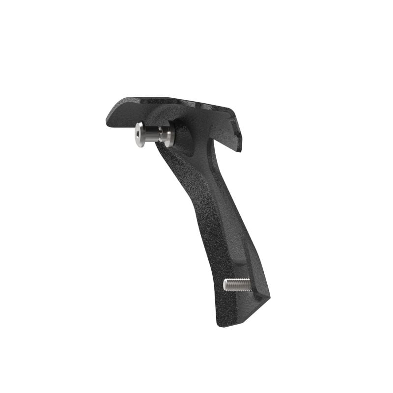 Triumph Trident 660 Triple Tribute Edition 2024+ Porta Targa