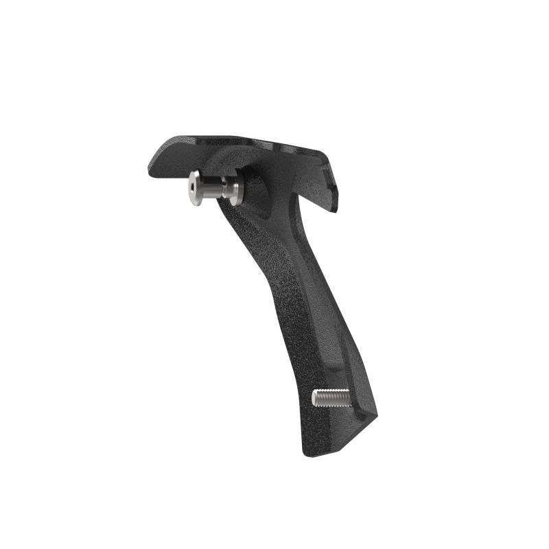 Triumph Trident 660 Triple Tribute Edition 2024+ Porta Targa