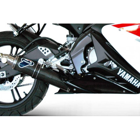 KIT INOX CARBONIO YAMAHA YZF-R 125 2008-2013