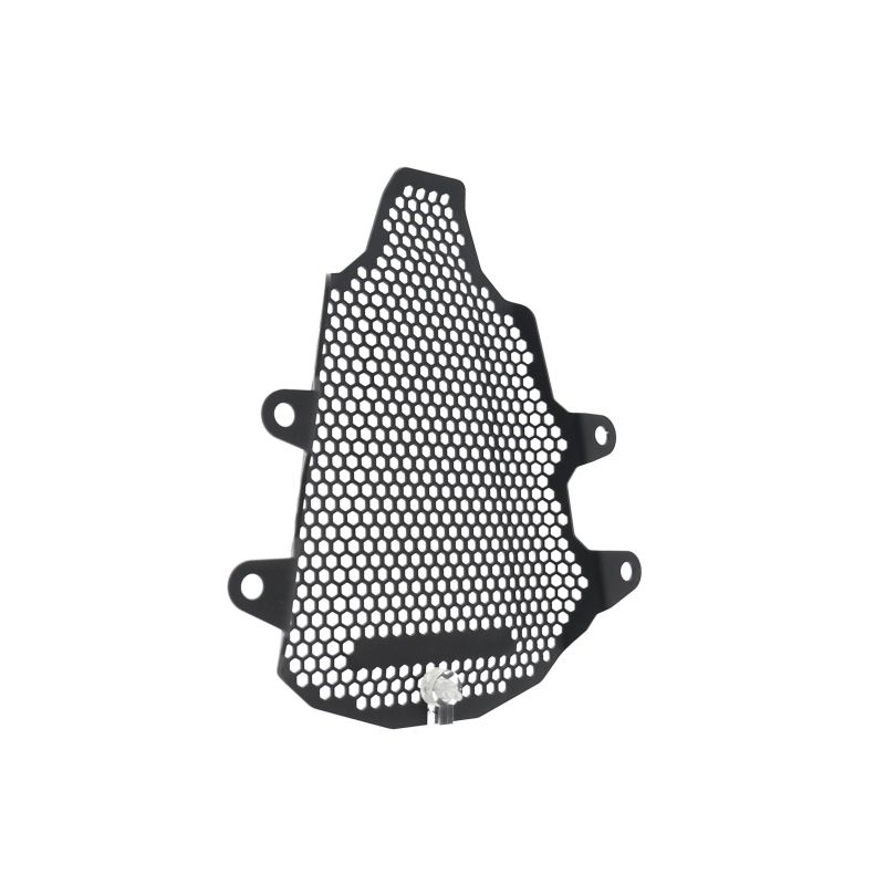 Ducati Panigale V4 SP2 2023+ Protezioni Telaio