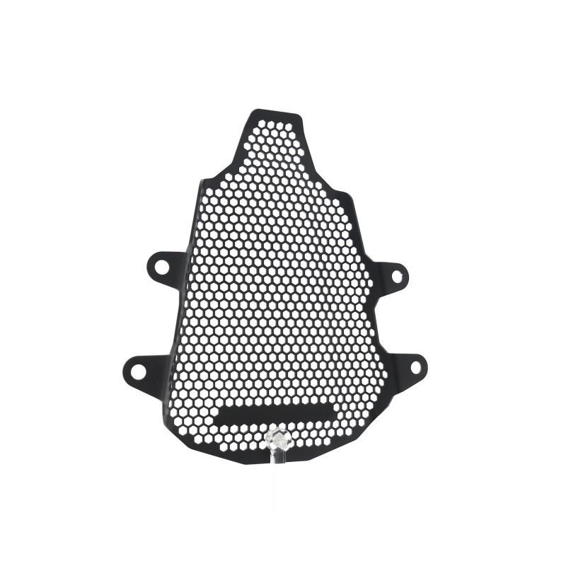 Ducati Panigale V4 SP2 2023+ Protezioni Telaio