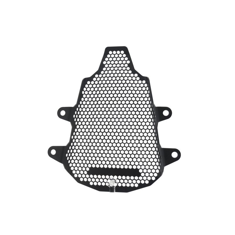 Ducati Panigale V4 SP2 2023+ Protezioni Telaio