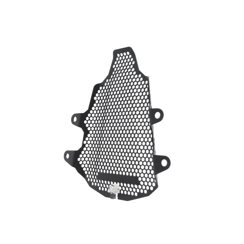 Ducati Panigale V4 SP2 2023+ Protezioni Telaio