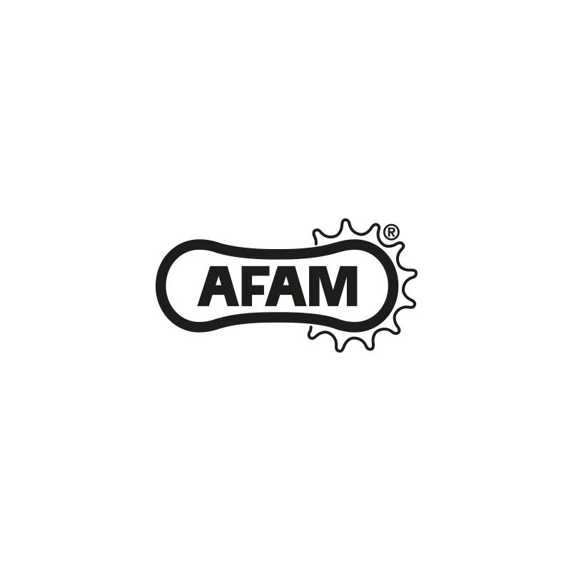 S540051815SA Pignone Silenziato 520 AFAM HONDA CL 500 500 2023 2024 AFAM