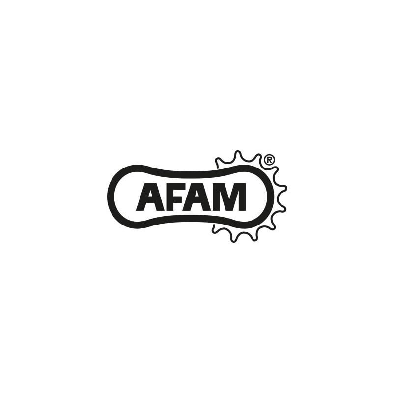 S547340017SA Pignone Silenziato 525 AFAM KTM Adventure 1090 1090 2017 2019 AFAM