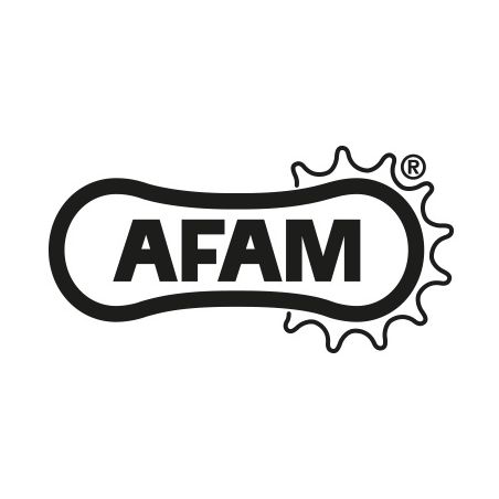 S547330316SA Pignone Silenziato 520 AFAM KTM Duke 790 / R 790 2018 2024 AFAM