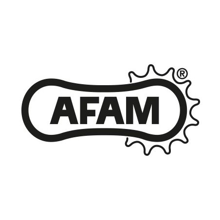 S547340017SA Pignone Silenziato 525 AFAM KTM Super Duke 1390 R 1400 2024 2024 AFAM