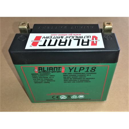FBATYLP18 Batteria Y-LP BMW R 1150 GS Adventure 1150 2002 2006 ALIANT