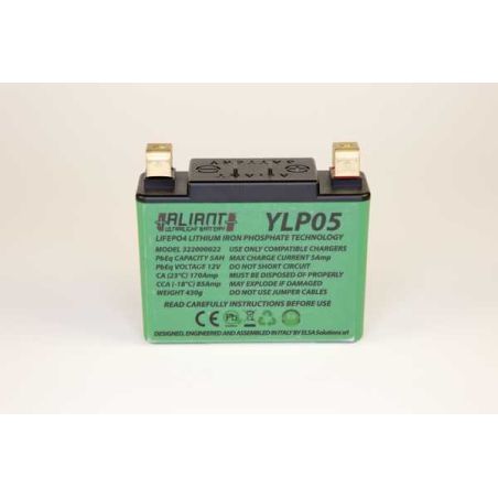 FBATYLP05 Batteria Y-LP KYMCO People S 125 125 2009 2010 ALIANT