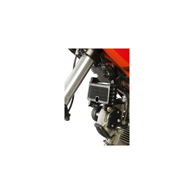 RGOCG0006RE Griglia Radiatore Olio DUCATI Hypermotard 1100 1100 2007 2009 FASTER96 by RG