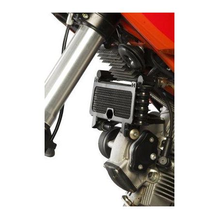 RGOCG0006BK Griglia Radiatore Olio DUCATI Hypermotard 1100 S 1100 2007 2009 FASTER96 by RG