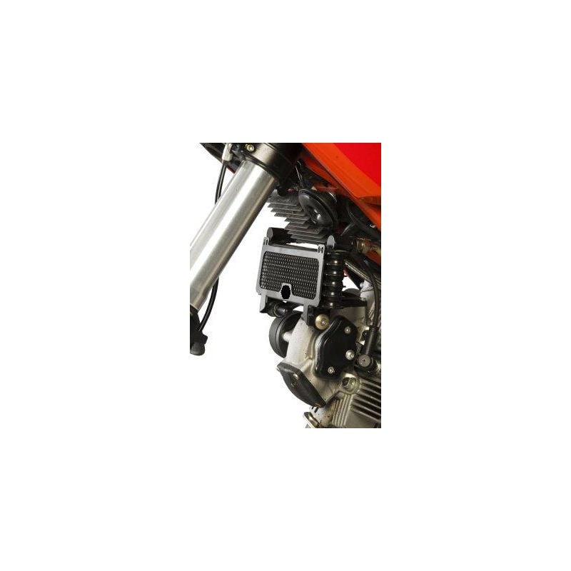 RGOCG0006RE Griglia Radiatore Olio DUCATI Hypermotard 1100 S 1100 2007 2009 FASTER96 by RG