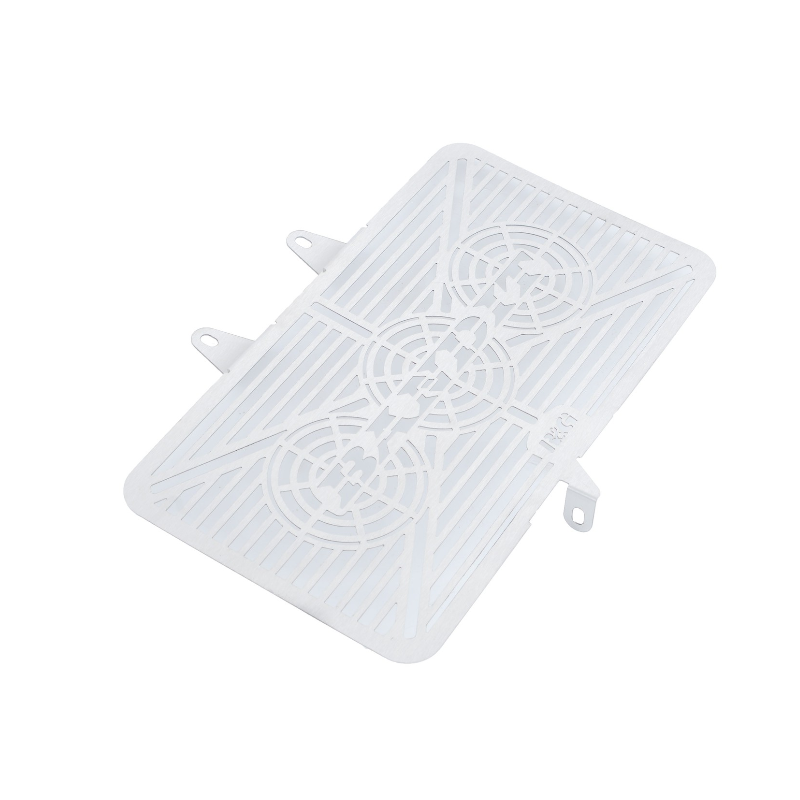 RGBRG0002SS Griglia Radiatore con Marchio - Inox SUZUKI Bandit 650 650 2009 2010 FASTER96 by RG