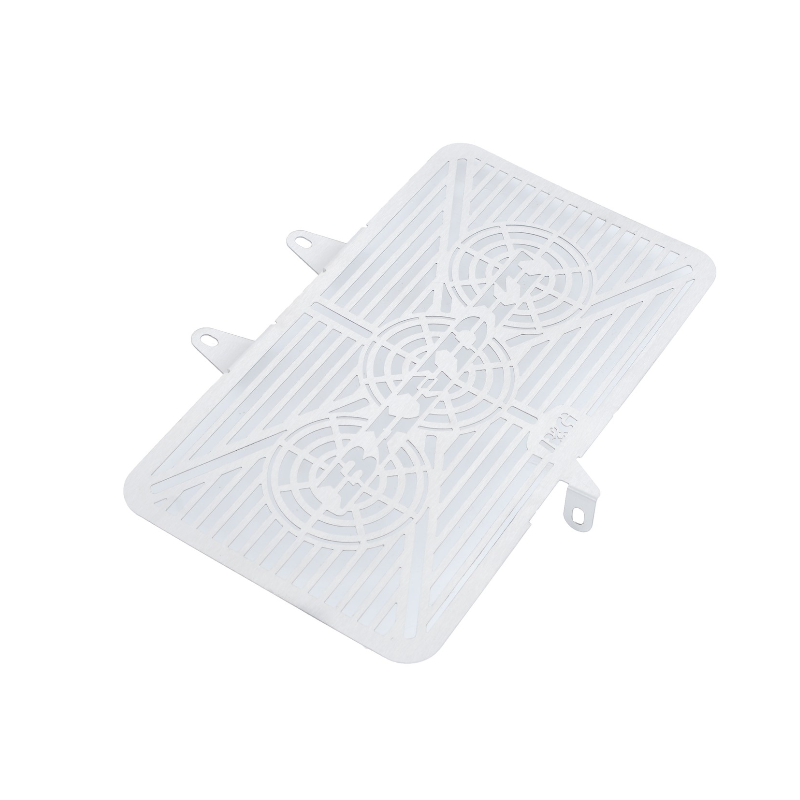 RGBRG0002SS Griglia Radiatore con Marchio - Inox SUZUKI Bandit 650 S abs 650 2009 2015 FASTER96 by R