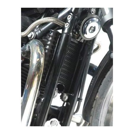 RGOCG0013BK Griglia Radiatore Olio TRIUMPH Thruxton 865 2008 2015 FASTER96 by RG