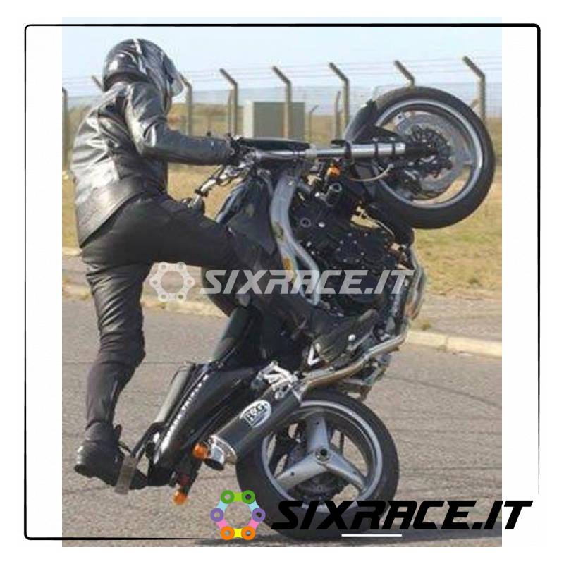 Protections / Protecteurs de cadre avant - Triumph Speed Triple 97-07