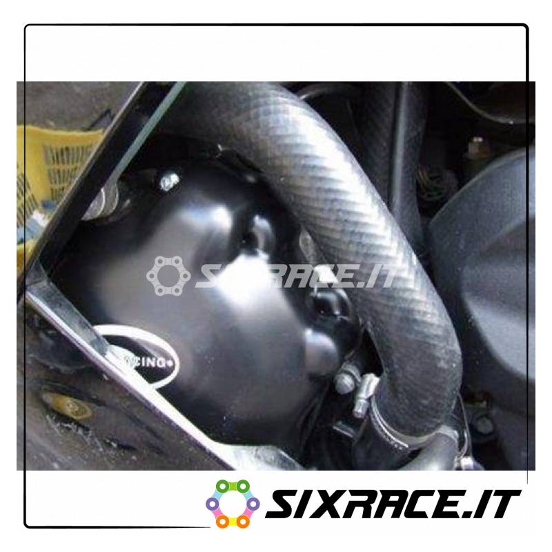 KAWASAKI ZX10 06-10 SX protecteurs d'alternateur