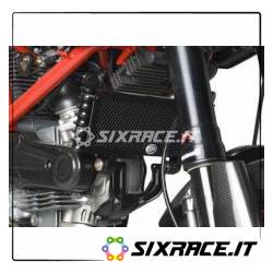 griglia Protezione Radiatore Olio Ducati Hypermotard 1100 Evo And Evo Sp (Not St