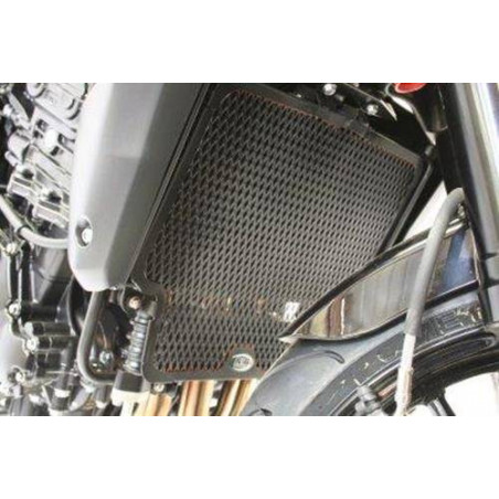 Set griglia Protezione Radiatore E Radiatore Olio - Triumph Speed Triple 10
