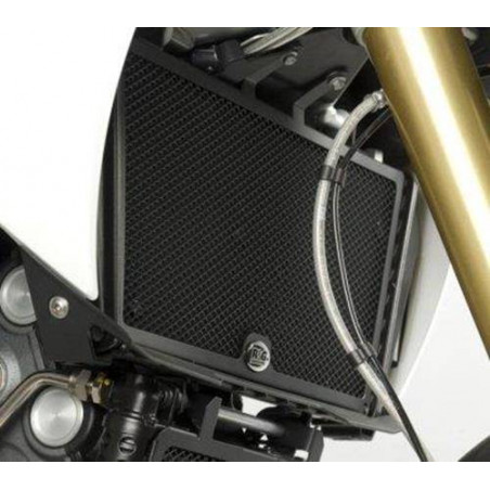 griglia protezione radiatore - Aprilia Dorsoduro 1200