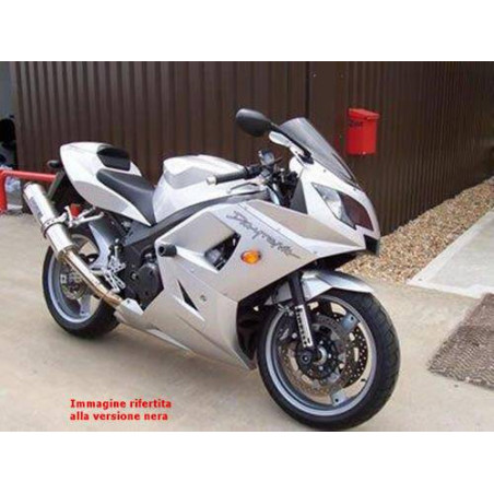 Protections / Protecteurs de cadre - Triumph Daytona 600/650