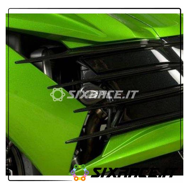 Tamponi / Protezioni Telaio Tipo Aero - Kawasaki Zzr1400 12