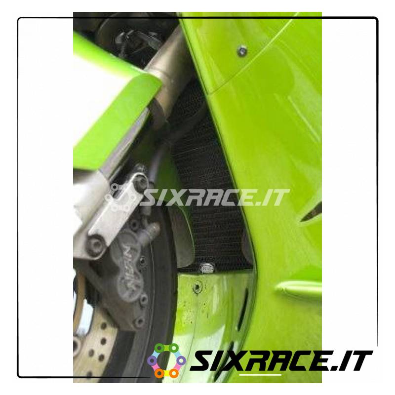 griglia protezione radiatore - Kawasaki ZX12-R 02-06