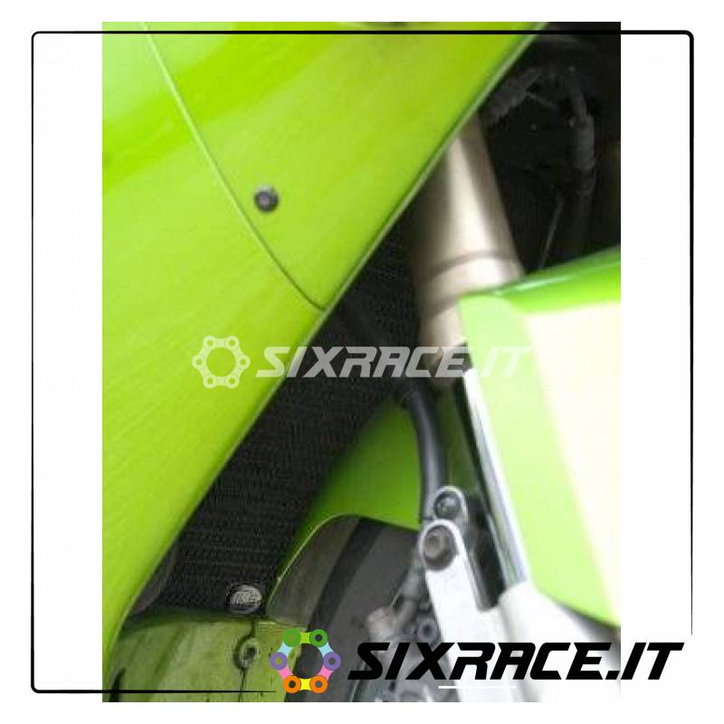 grille de protection de radiateur - Kawasaki ZX12-R 02-06 (titane)